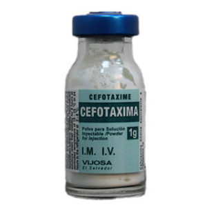 Cefotaxima 1g